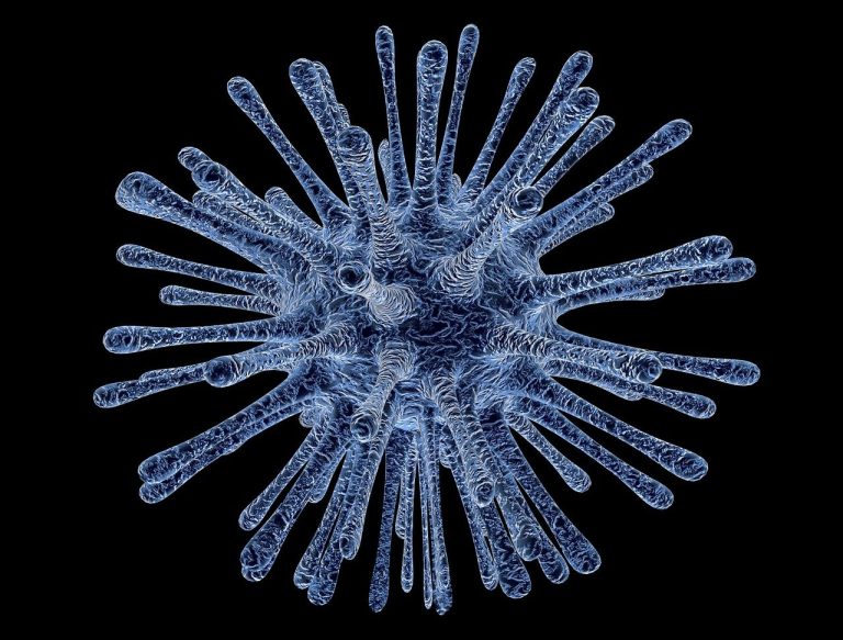tipuri de bacterii la stomac