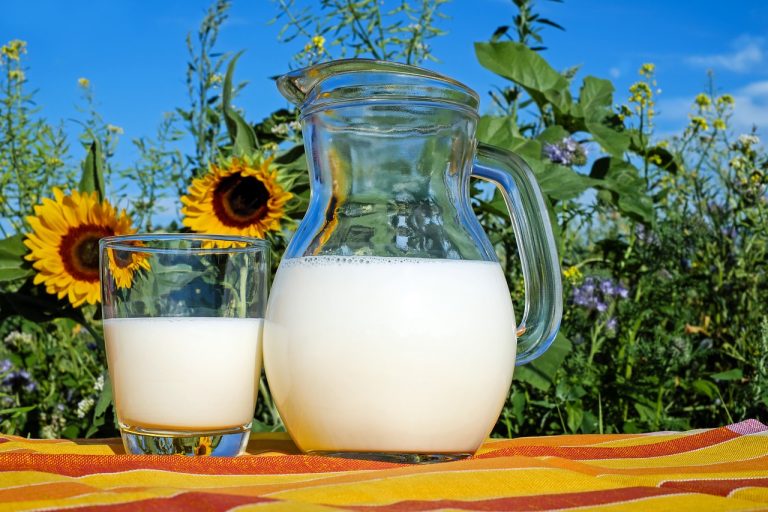 lapte de magarita pentru plamani
