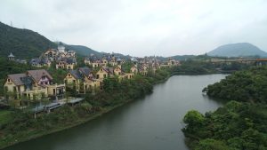ceaiul de stafide elixirul care iti curata stomacul si rinichii