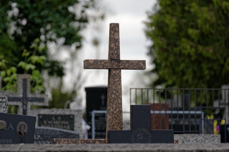 Intrebari pentru Am N-Am amuzante si provocatoare