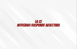 la ce intrebari raspunde adjectivul