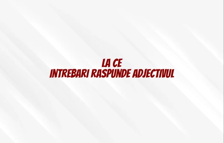 la ce intrebari raspunde adjectivul