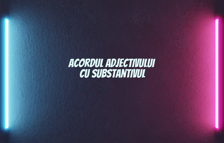 acordul adjectivului cu substantivul