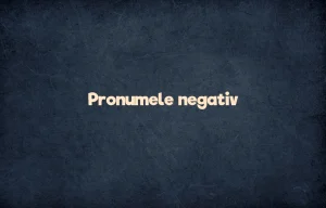 pronumele negativ