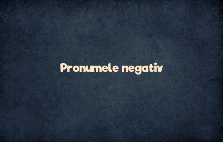 pronumele negativ