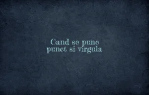 cand se pune punct si virgula