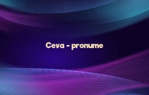 ceva pronume