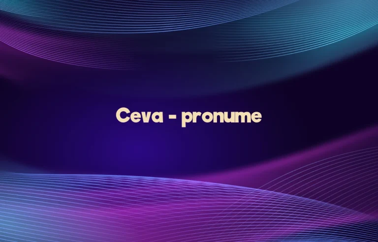 ceva pronume