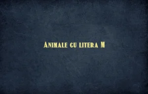 animale cu litera m