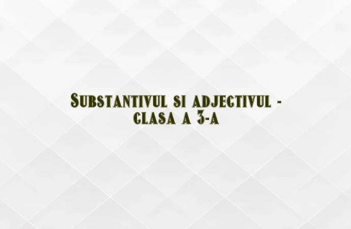 Substantivul si adjectivul – clasa a 3-a