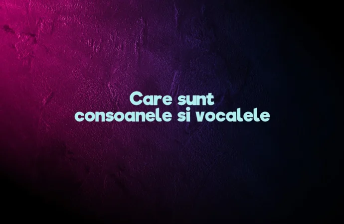 Care sunt consoanele si vocalele