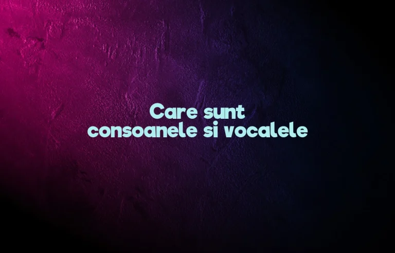 care sunt consoanele si vocalele