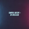 Timpul viitor – in engleza